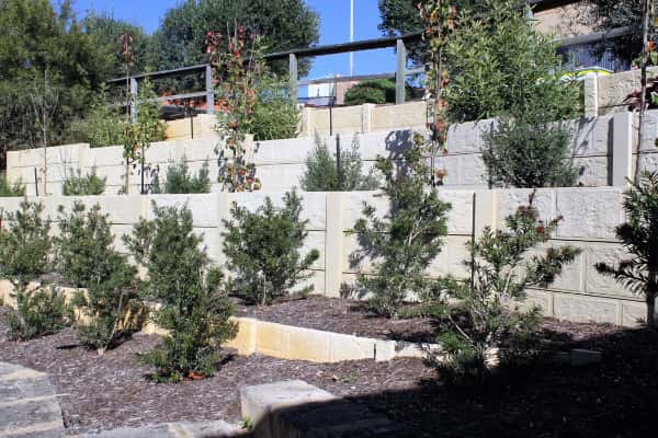 Retaining Wall
